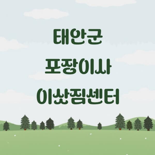 태안군-포장이사-이삿짐센터-업체-추천-잘하는-곳-비용-저렴한-곳-싼-곳-유명한-곳
